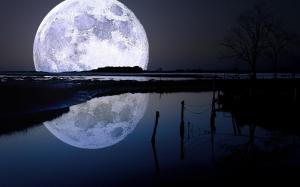 Nature-Moon-1800x2880[1]